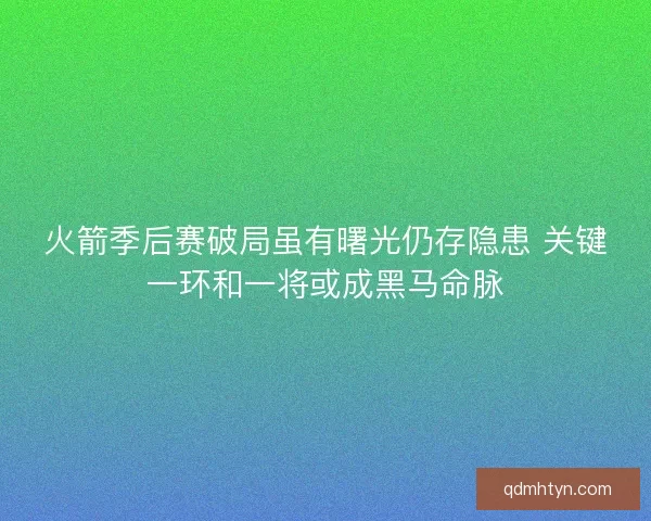 火箭季后赛破局虽有曙光仍存隐患 关键一环和一将或成黑马命脉