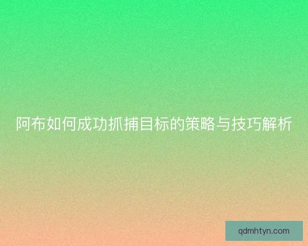 阿布如何成功抓捕目标的策略与技巧解析
